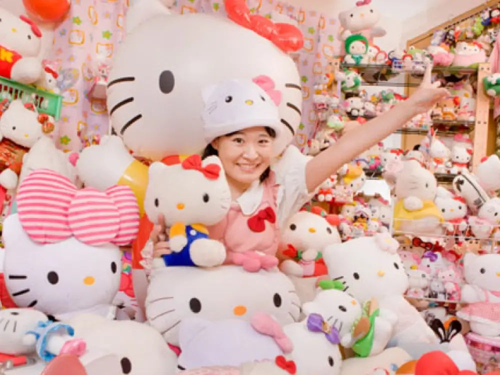 Hello Kitty Collection